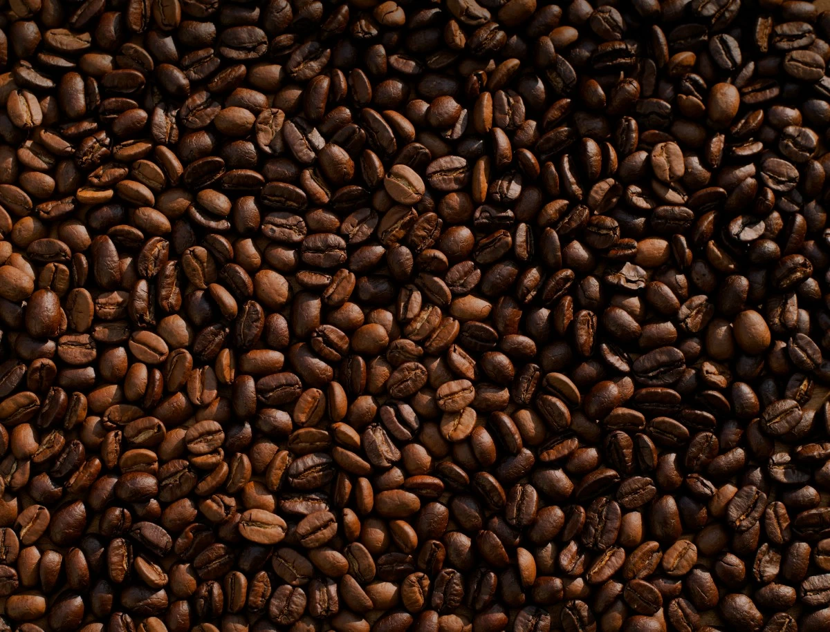 (Unsplash)