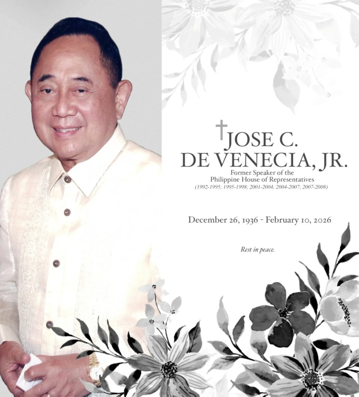 Former House Speaker Jose de Venecia Jr.  (Facebook) 