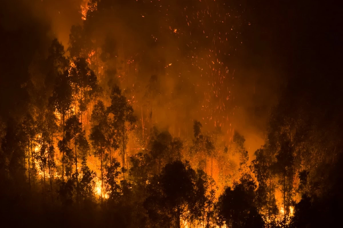 A wildfire burns near Concepcion, Chile, Jan. 19, 2026. (AP Photo/Javier Torres, File)