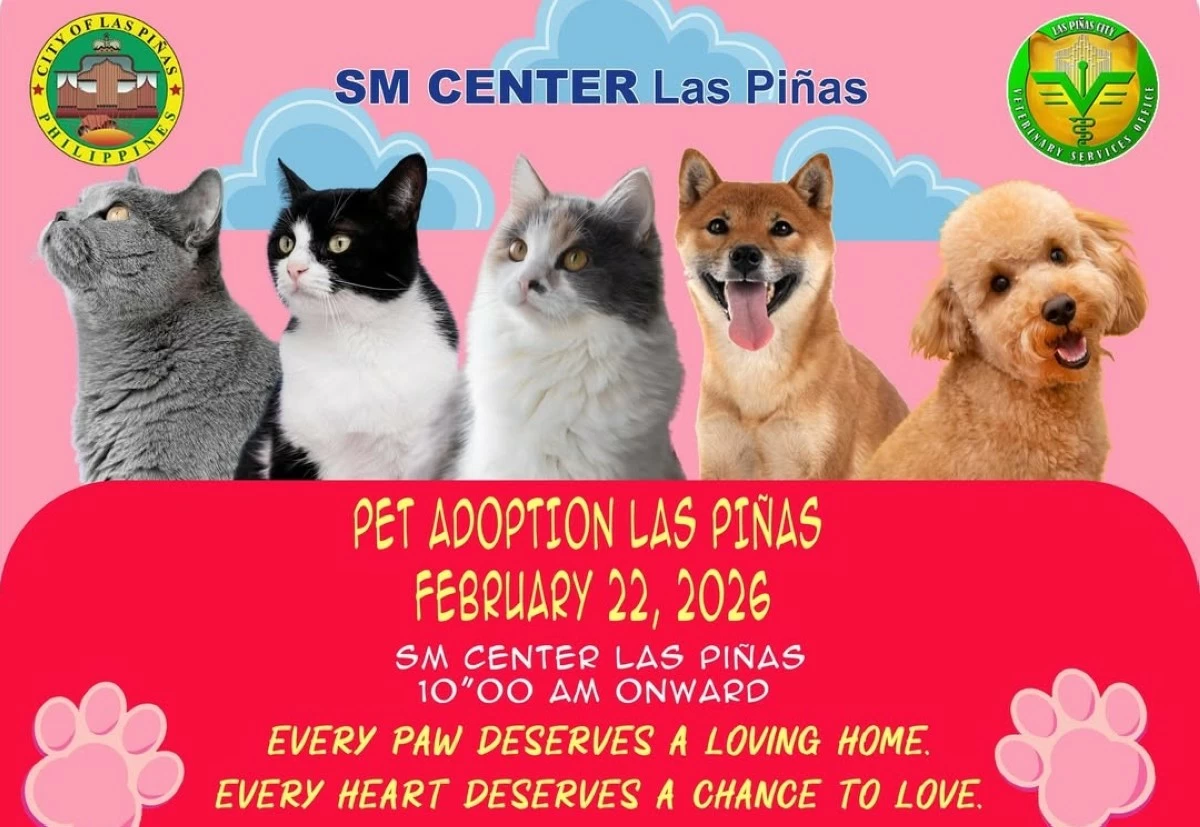Stray to Stay pet adoption announcement (Photo courtesy of Las Pinas PIO)