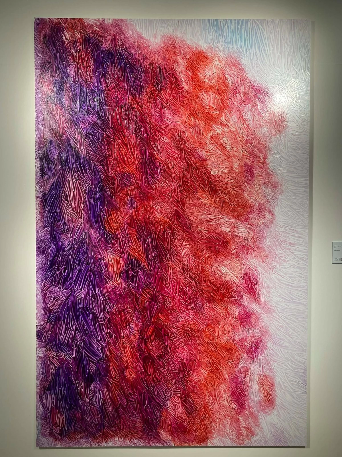 '#2441 BOUGAINVILLE' oil on canvas, 2019