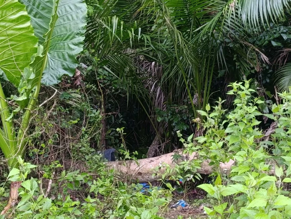 
THE decomposing body of a 12-year-old girl was found in this area in Toledo City, Cebu. (Toledo City police)

