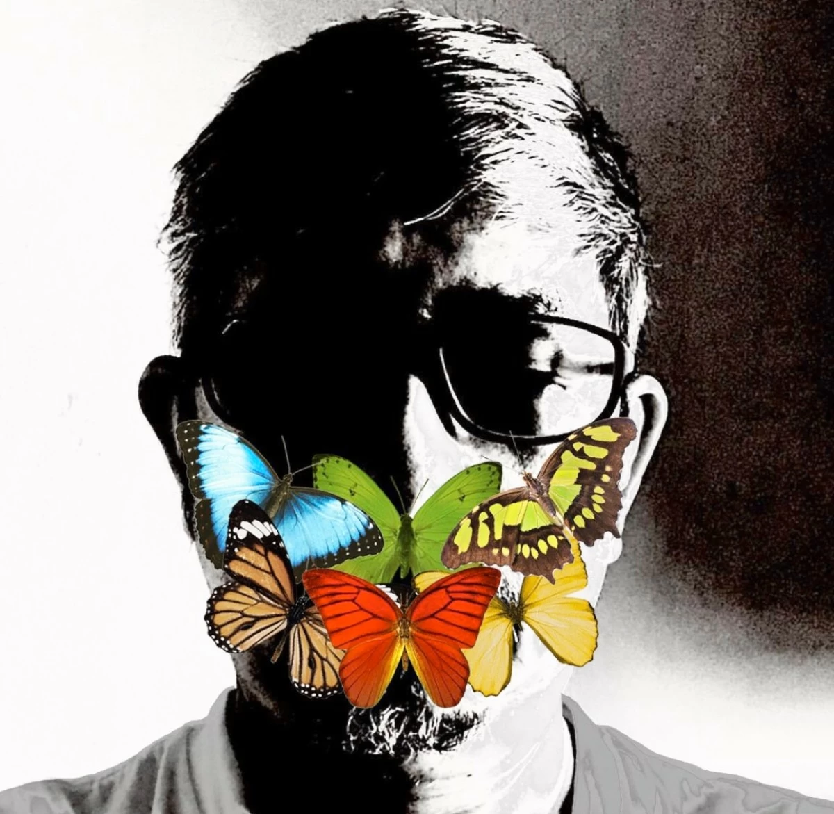 MEET THE ARTIST Rosscapili