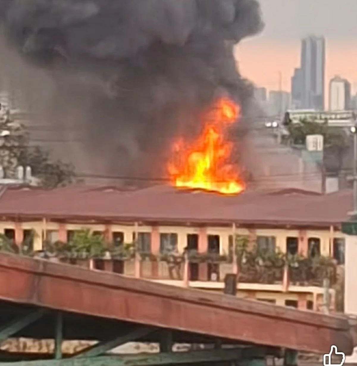 Photo courtesy of Ronna Fabros/Facebook live