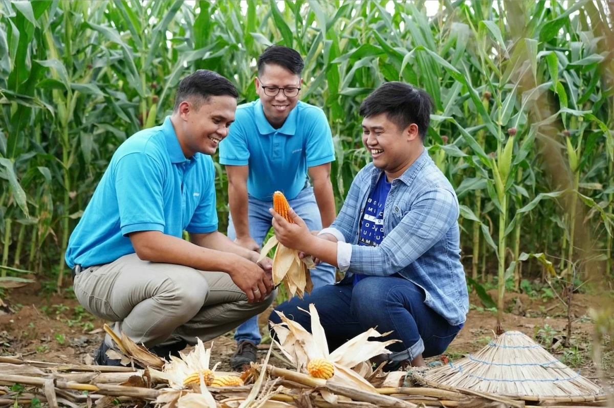 Building resilient livelihoods. With more
than 2,000 corn farmers supported, Aboitiz
Foods’ Project Silk equips corn farmers with
the tools, skills, and partnerships they need to
run sustainable, competitive agribusinesses.
