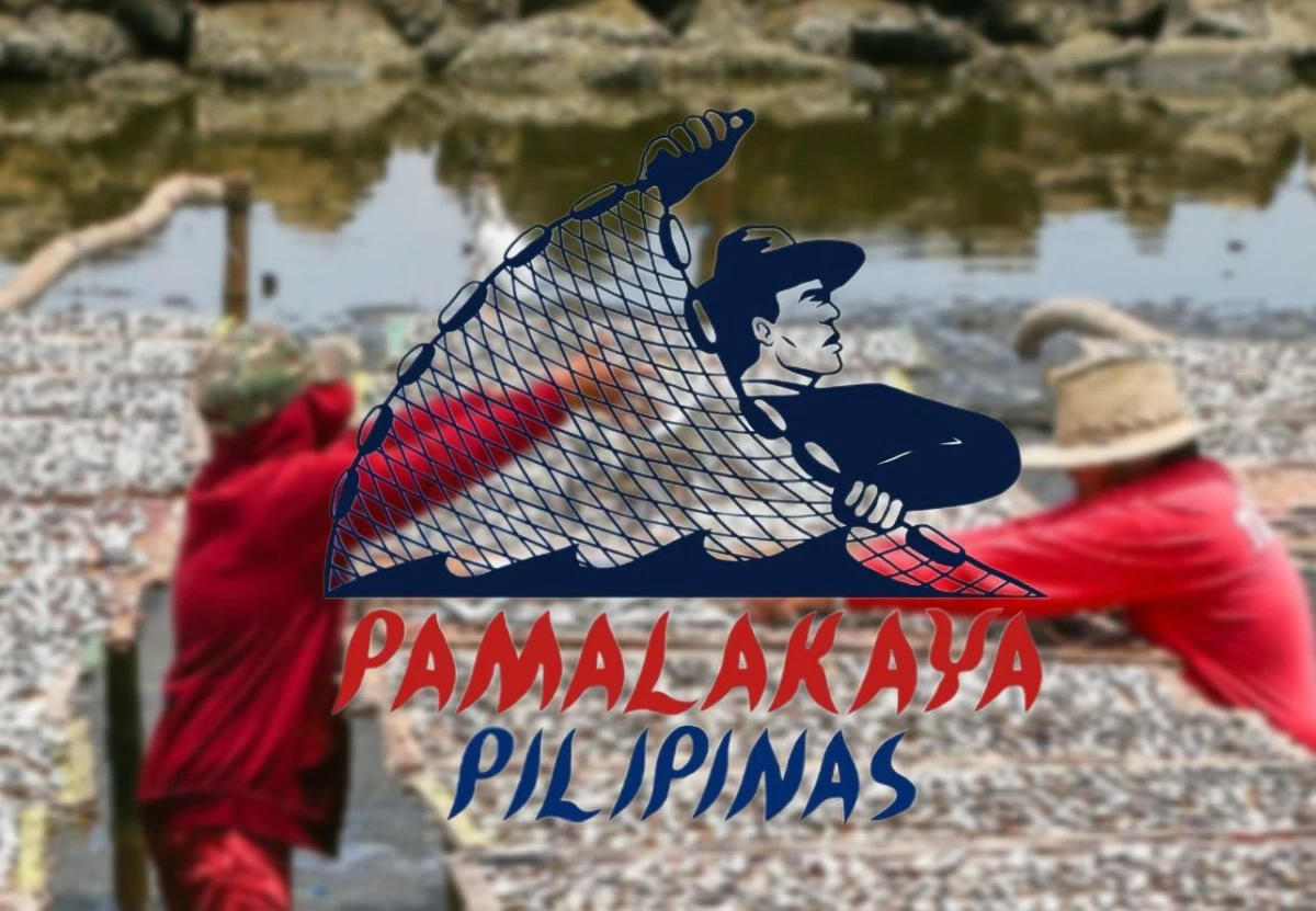 New DENR chief urged to revoke ECCs of Manila Bay reclamation projects