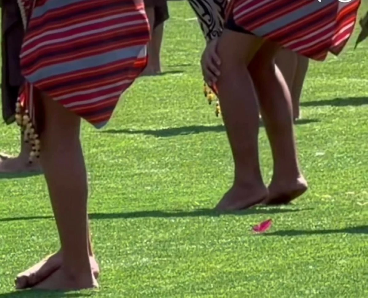ARTIFICIAL turf used in the Panagbenga Festival. (Photo via Zaldy Comanda)