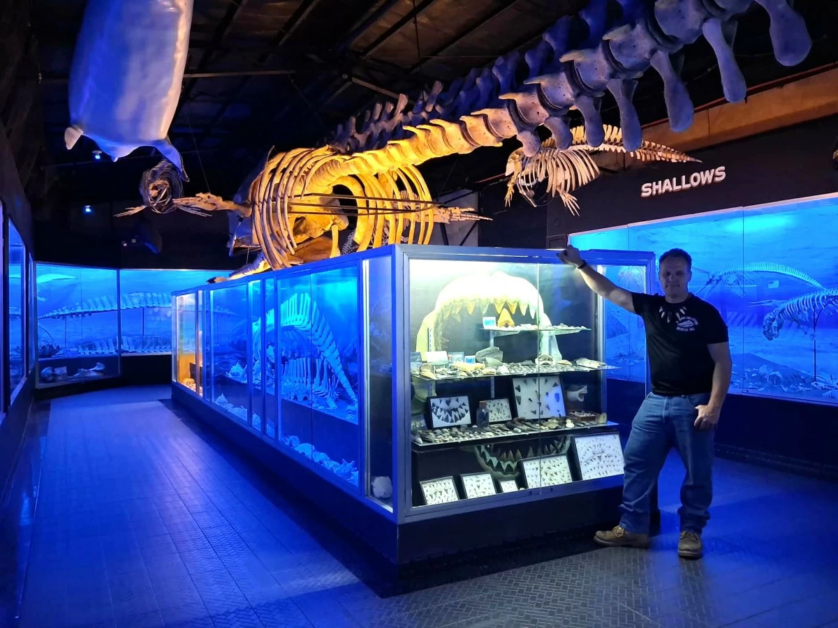 Inside the bone museum