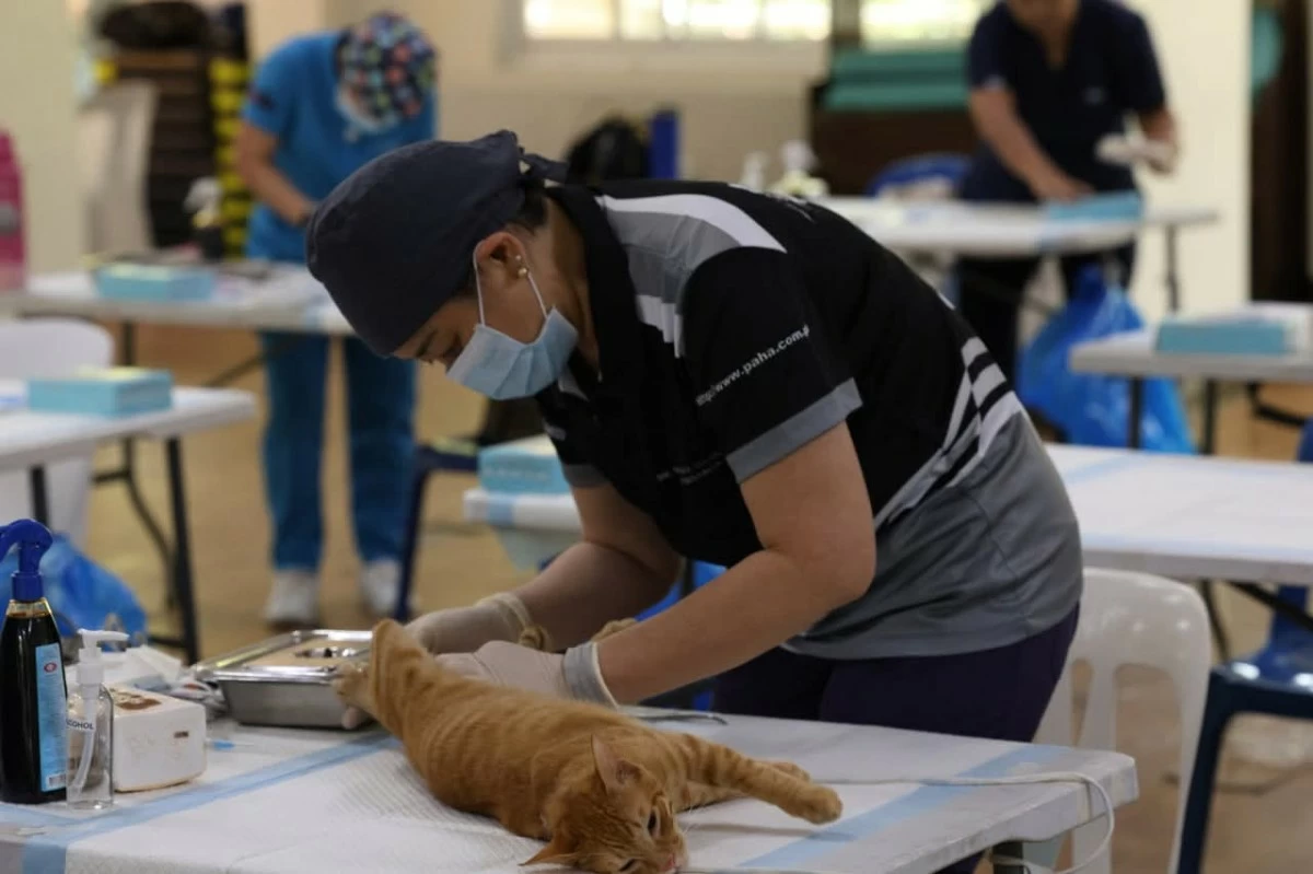 Pets receive various free veterinary services during the event. (Photos from Pasig PIO)