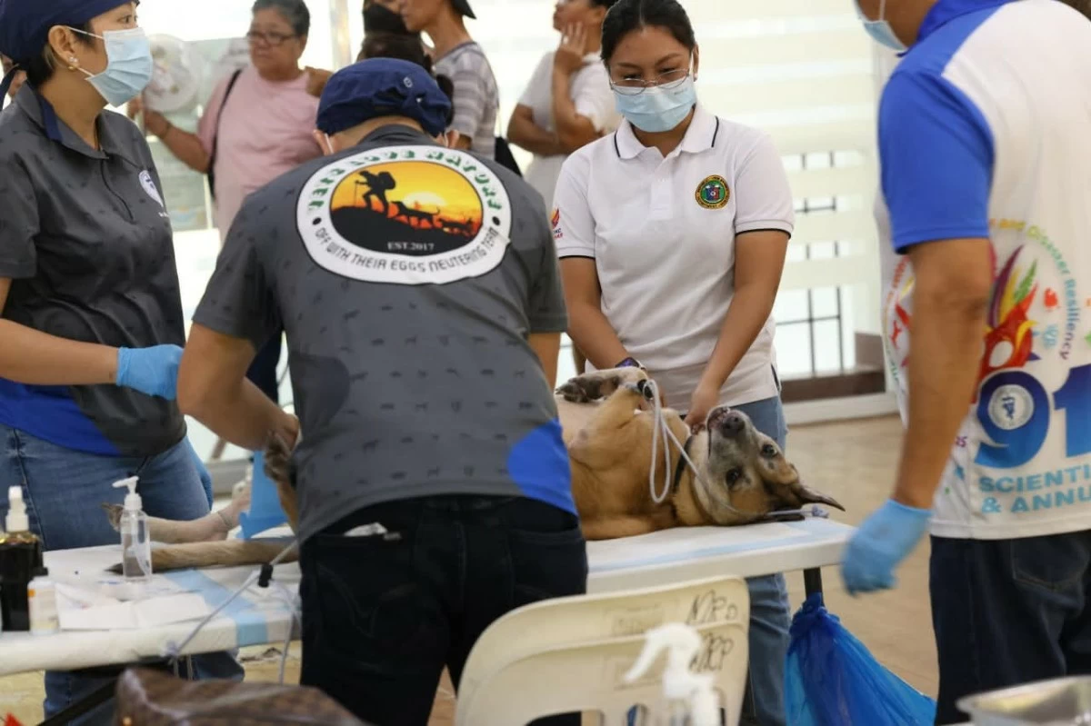 Pets receive various free veterinary services during the event. (Photos from Pasig PIO)