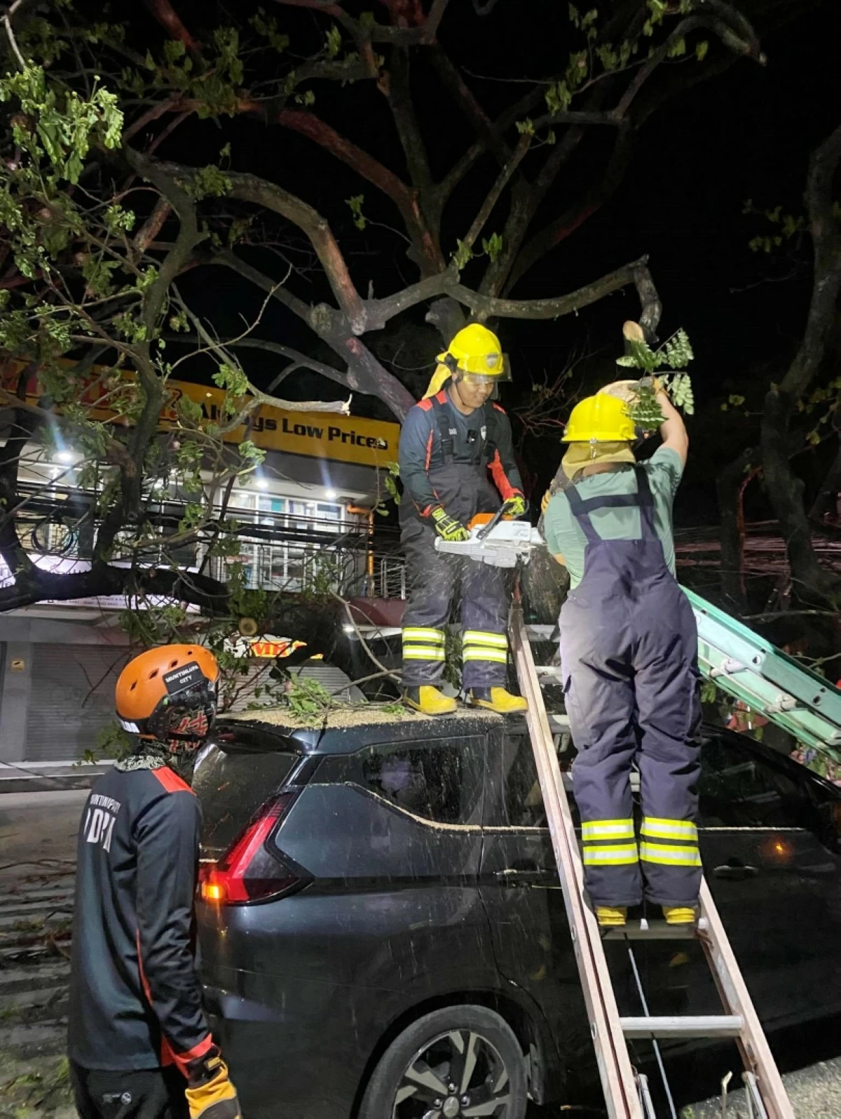 Personnel from the Muntinlupa City Department of Disaster Resilience and Management cutting the branches of the fallen acacia tree tree along the National Road in Barangay Putatan, Muntinlupa on March 11 (Photo from the Muntinlupa City Department of Disaster Resilience and Management) 
