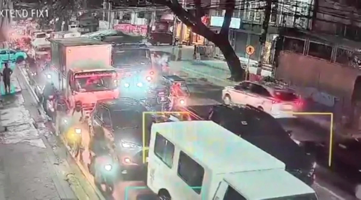 The acacia tree that fell on March 11 in Barangay Putatan, Muntinlupa on March 11 (Screenshot from video of the Muntinlupa City Department of Disaster Resilience and Management) 