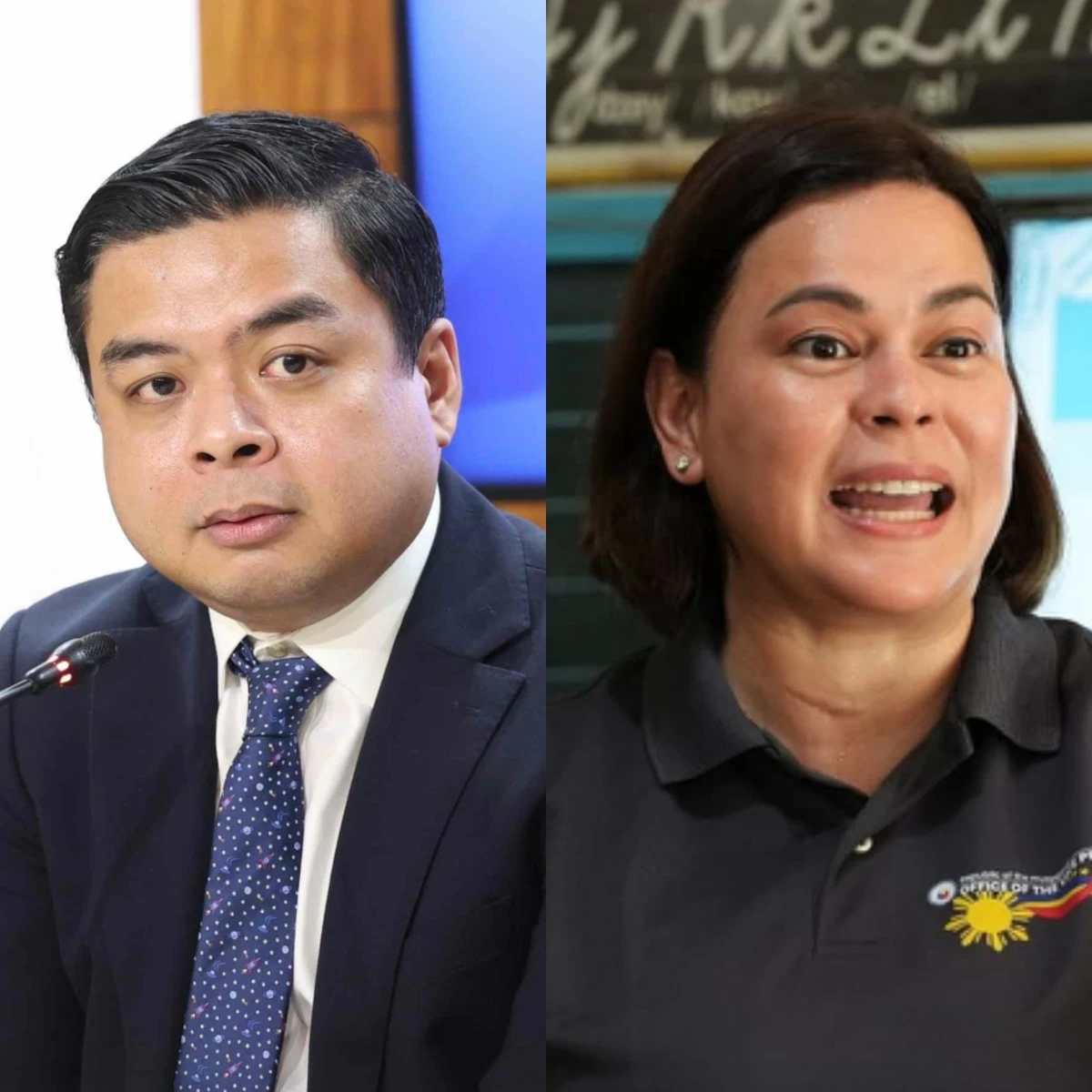 Bicol Saro Party-list Rep. Terry Ridon (left), Vice President Sara Duterte (PPAB, Facebook)