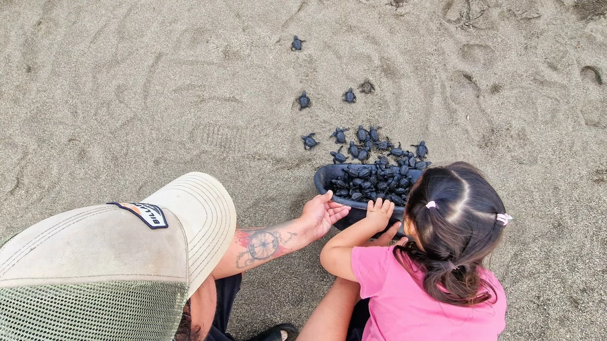 The vecinos of Seafront Residences continue to lead the Pawikan Conservation Project, by actively championing environmental stewardship, which directly shapes its success.