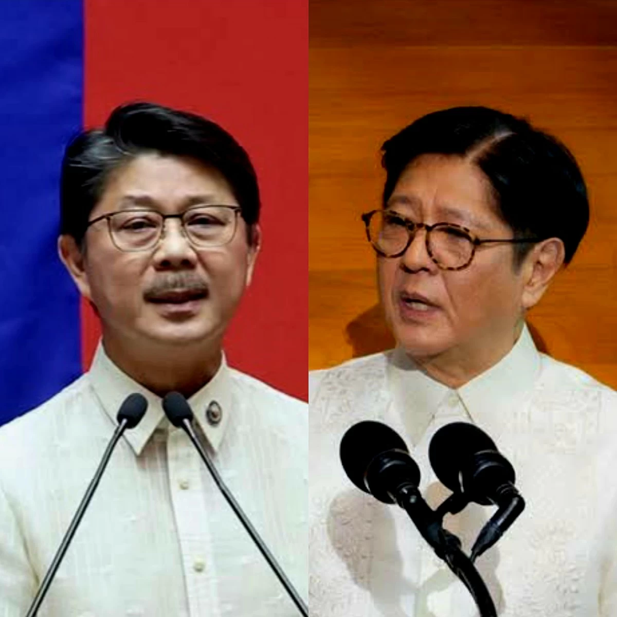 House Speaker Faustino "Bojie" Dy III (left), President Ferdinand "Bongbong" Marcos Jr. (Facebook)