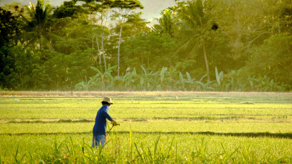 DA seeks fertilizer supply deals with China, Russia amid Mideast tensions