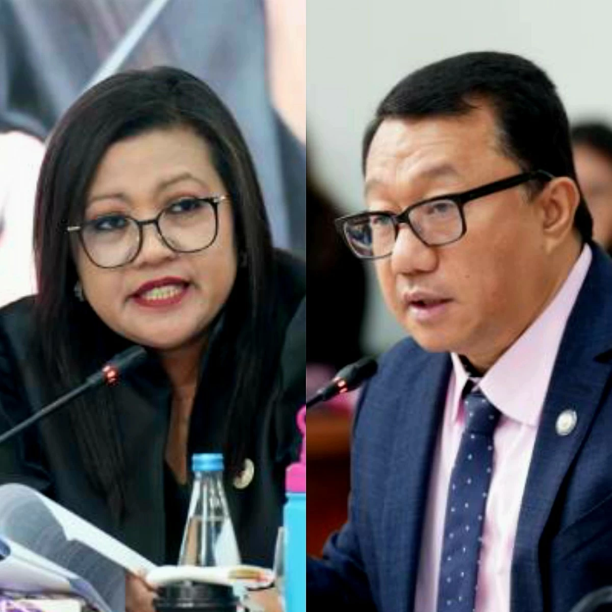 Batangas 2nd district Rep. Gerville “Jinky Bitrics” Luistro (left), Manila 3rd district Rep. Joel Chua (PPAB)
