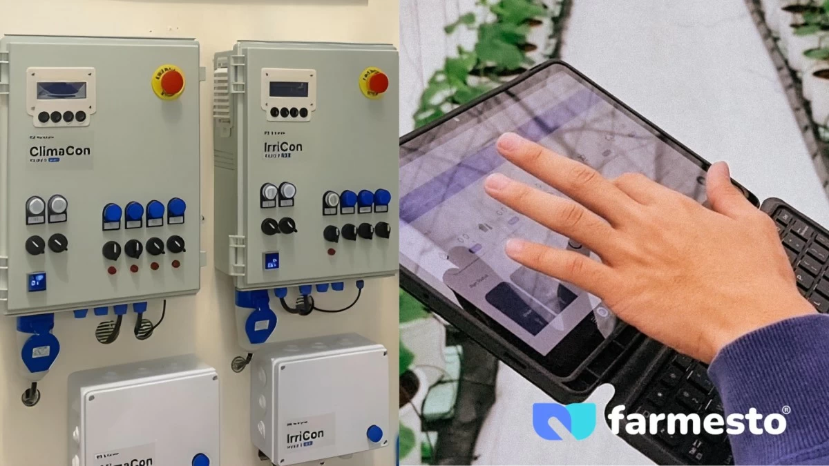 Farmesto’s AI-powered dosing and climate control system offers a sustainable solution for modern greenhouses, automating essential irrigation and nutrient tasks to maximize farm efficiency.