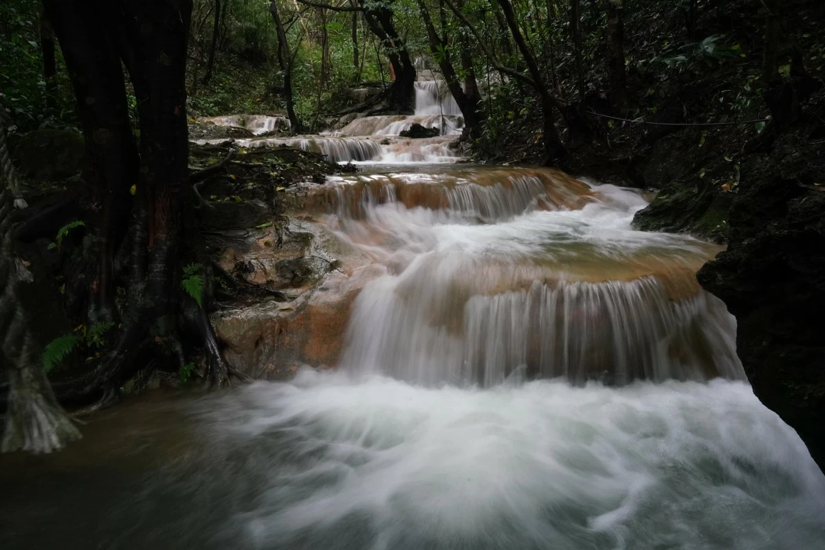 Unobstructed waterways enhance safety, biodiversity and health.