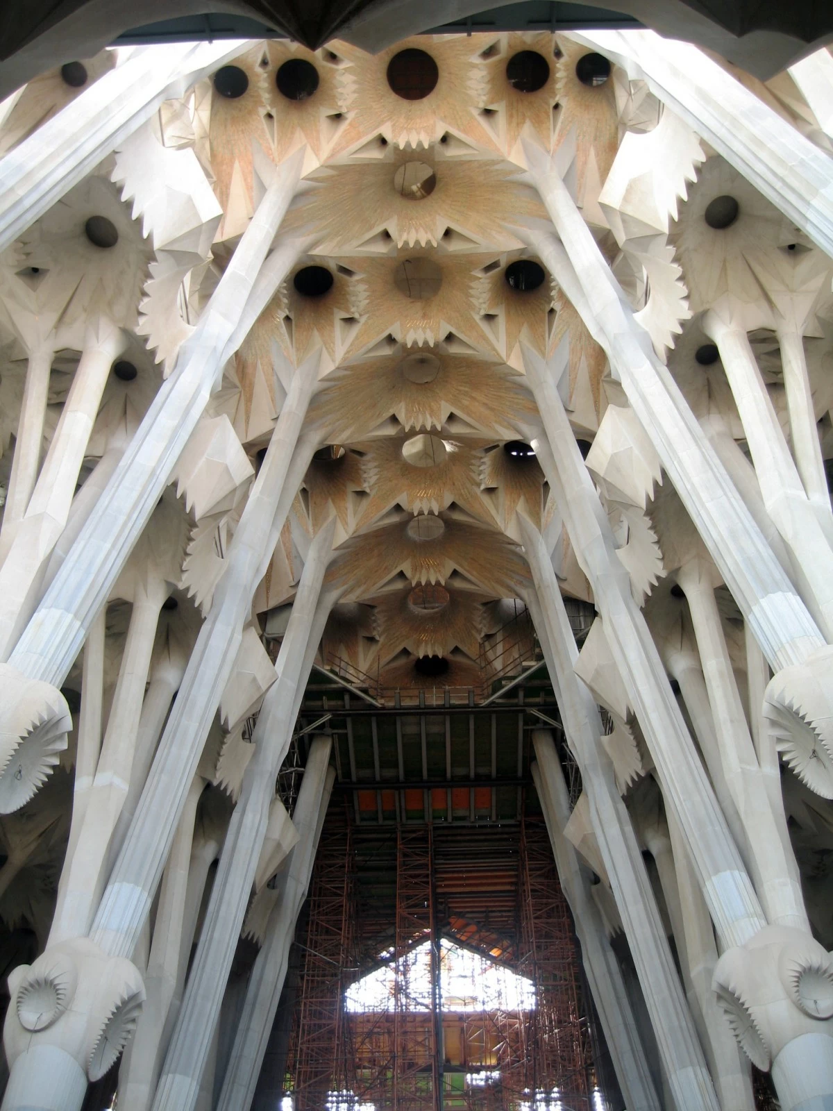 A FOREST TAKING SHAPE Sagrada de Familia's interior support columns branch out like trees.