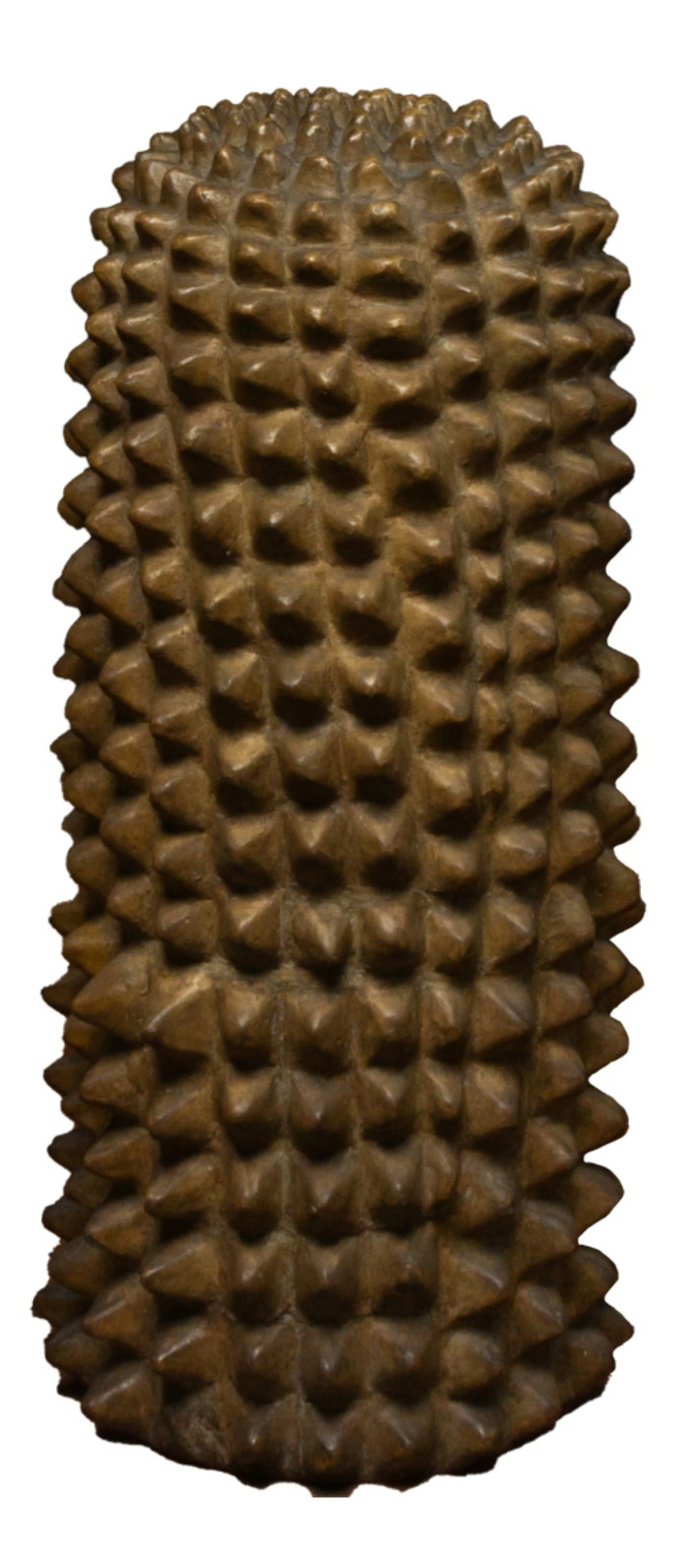 'CACTUS' Julie Lluch, 1992