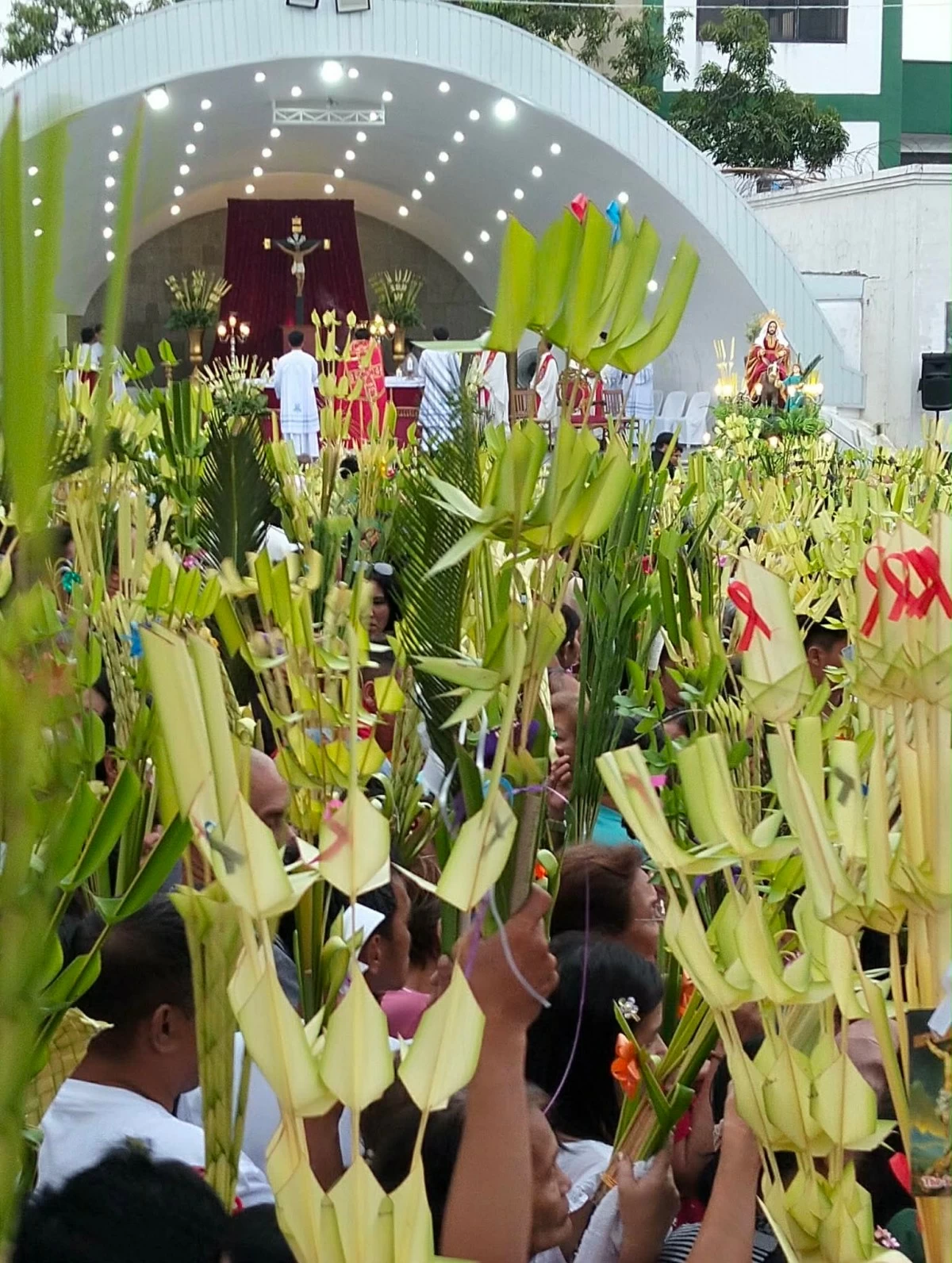 Thousands of devotees are attending Mass at the Minor Basilica and Parish of La Purisima in Sta. Maria, Bulacan, waves palm fronds as they commemorate Palm Sunday on March 29, 2026—a reenactment of the triumphant entry of Christ into Jerusalem, marking the beginning of Holy Week. (Photo from Freddie Velez)