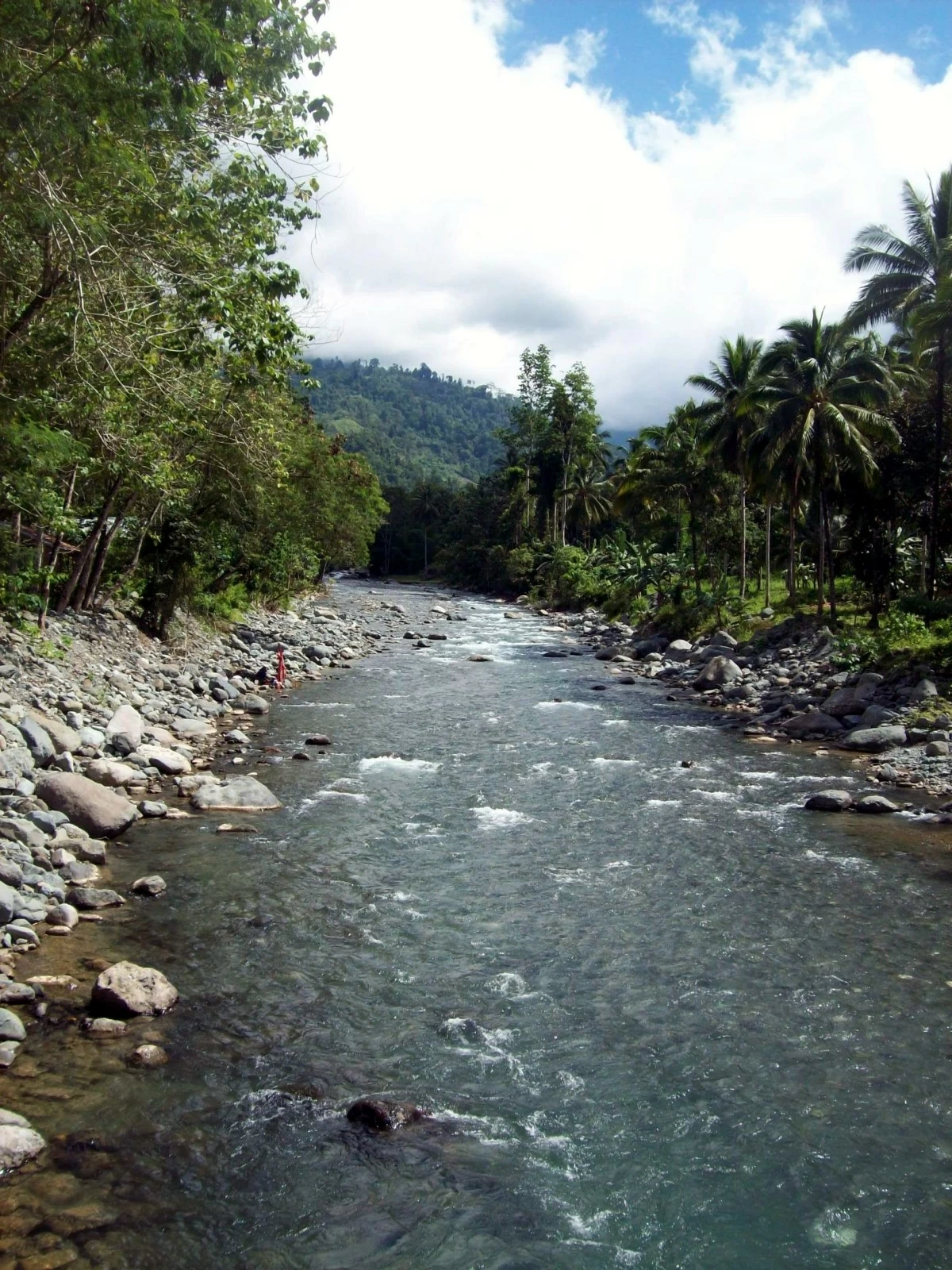 Rivers in the country offer potential sources of hydroelectric power.