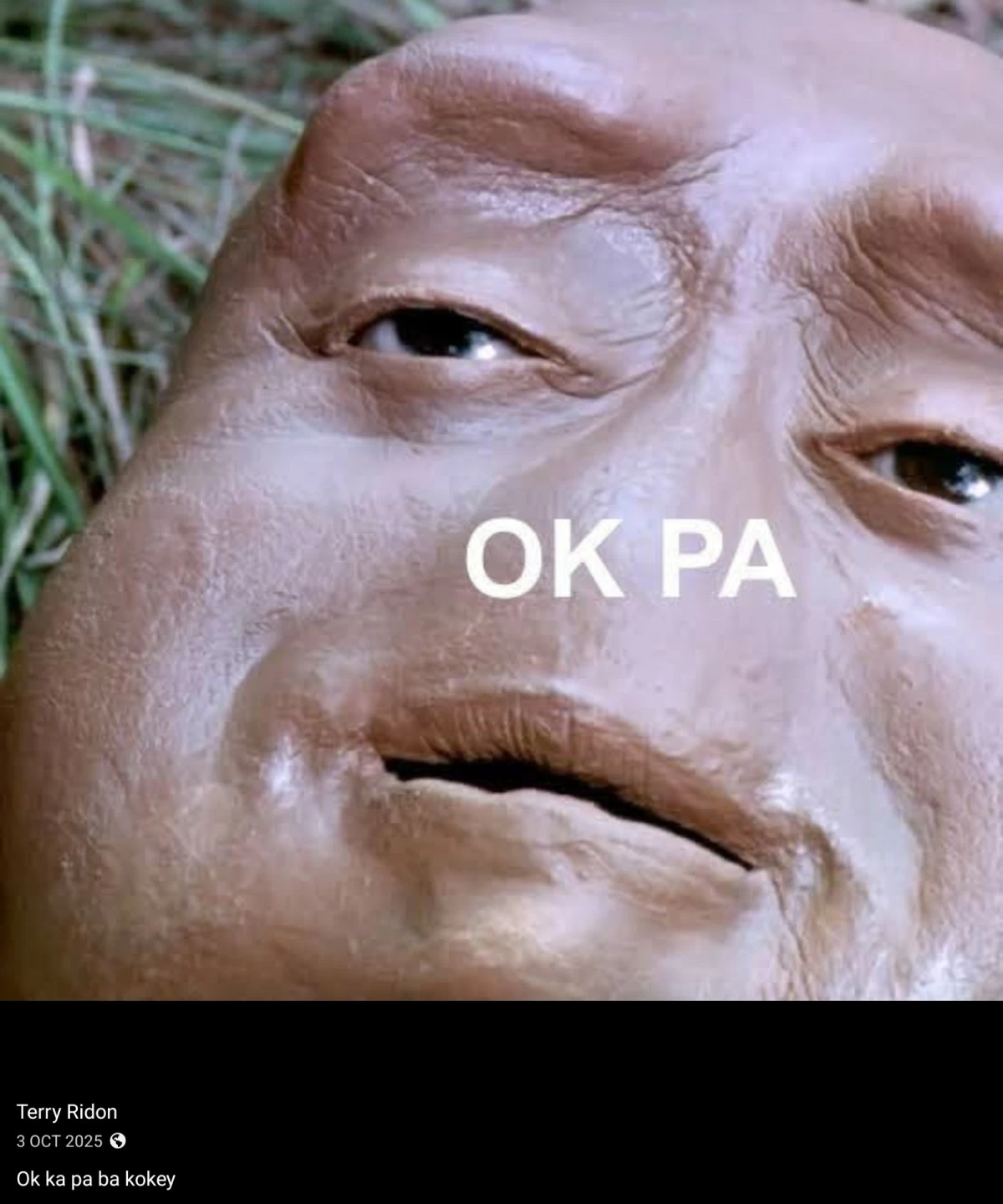 (Bicol Saro Party-list Rep. Terry Ridon's Facebook)