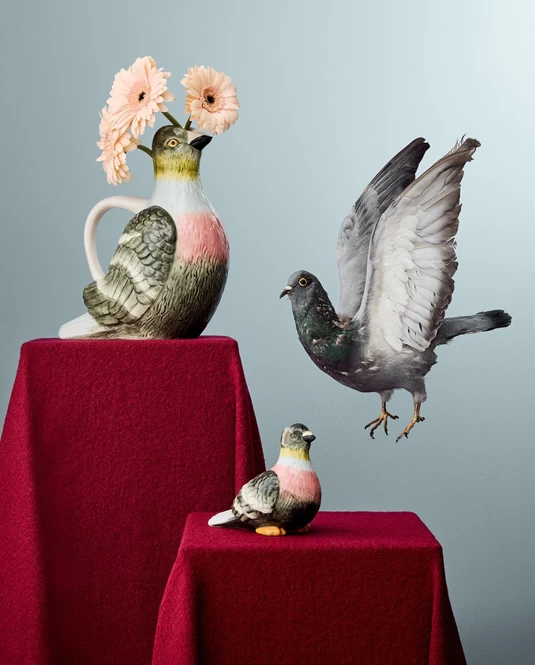 Pigeon collection (Photo courtesy of West Elm)