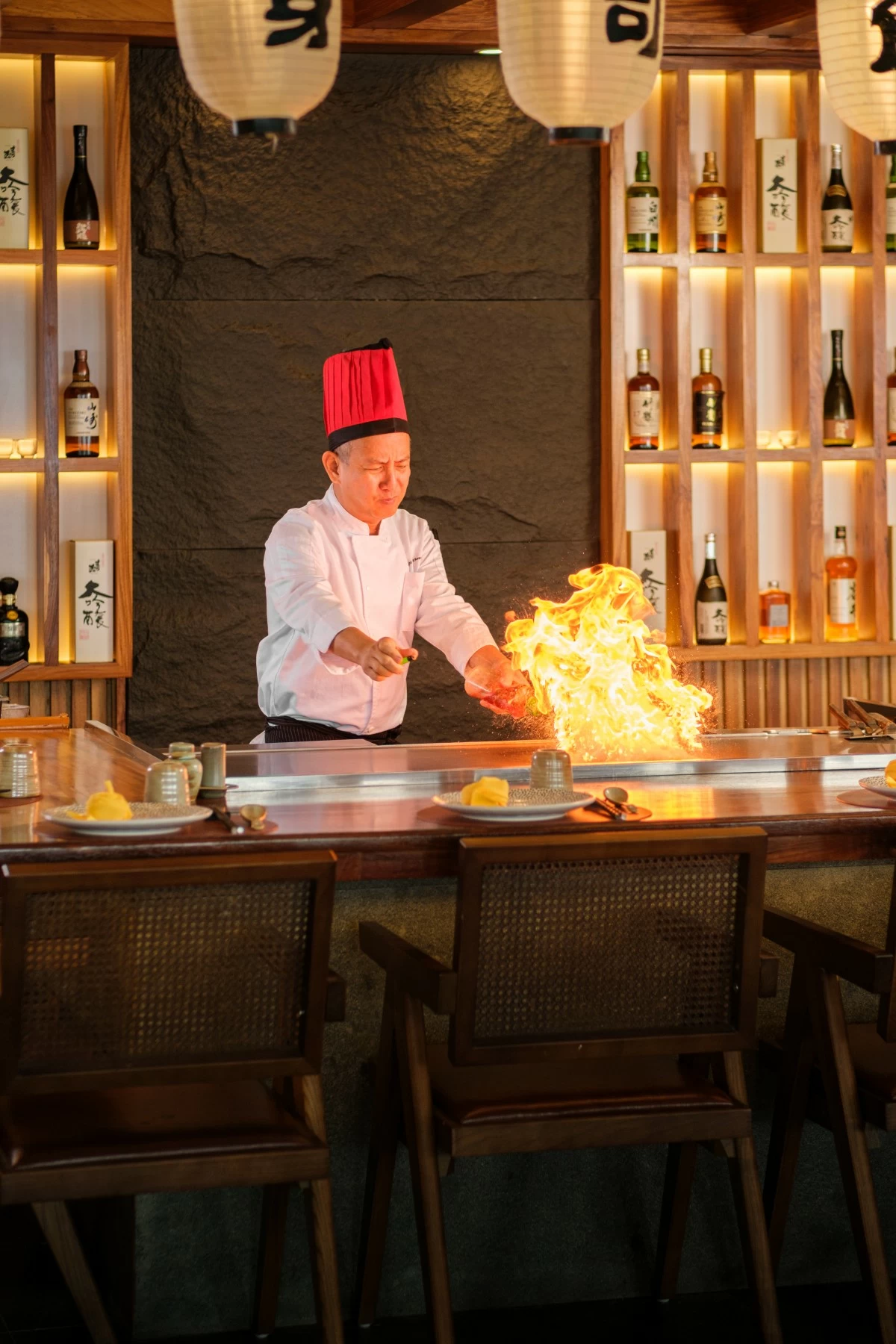 Hikari (Photo courtesy of SETIR)