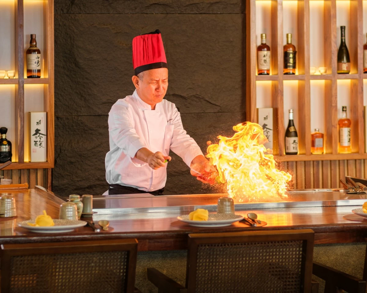 Hikari (Photo courtesy of SETIR)