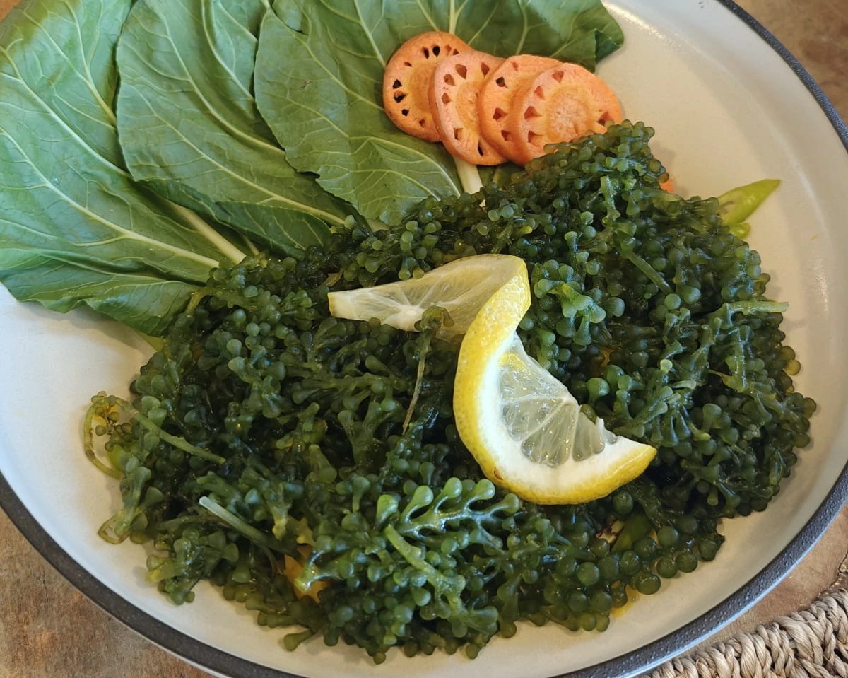 Lato (Photo by the author)