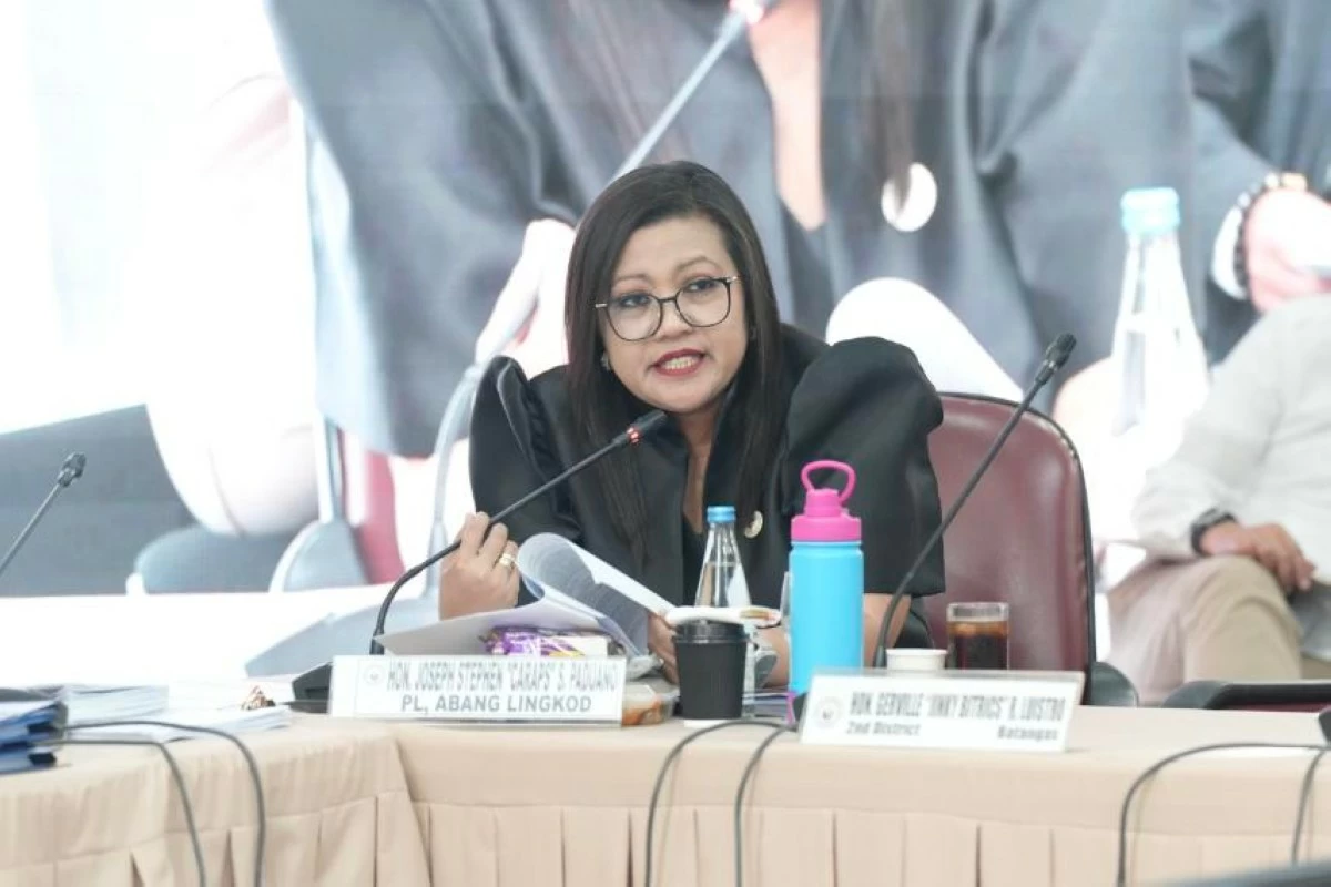 House panel formally seeks 'bagman' Madriaga, lawyer's appearance in VP Duterte impeachment hearing