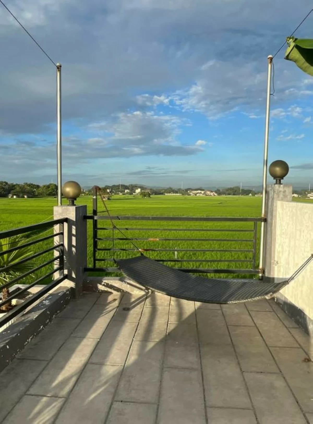 The rice field view from the balcony of the private resort (photo from Melinda's Garden FB page) 