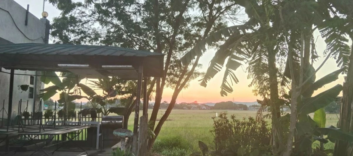 The view of the ricefield during sunset in Barangay Tandang Kutyo in Tanay (photo by Nel Andrade) 