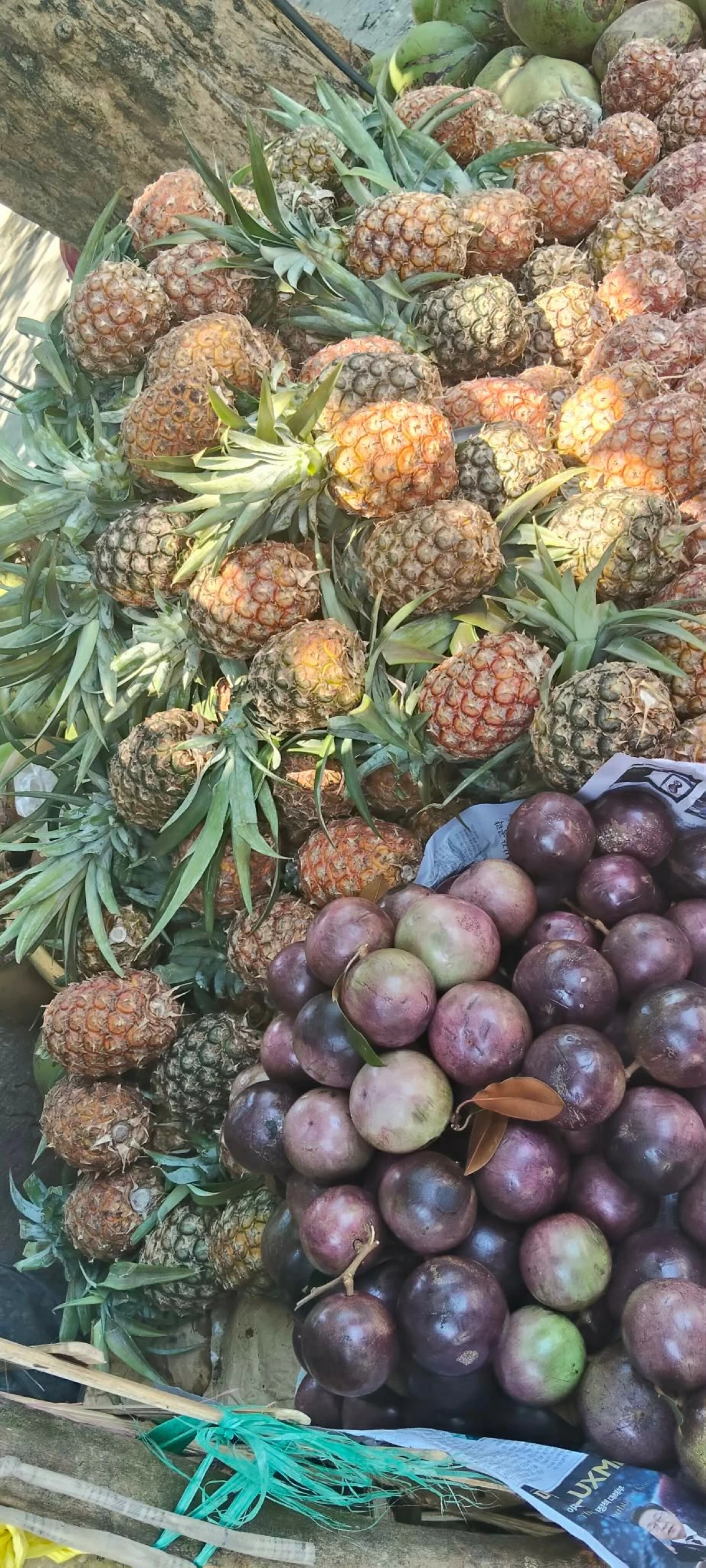 Pineapples and star-apples at a fruit stand on Manila East Road (photo by Nel Andrade)  