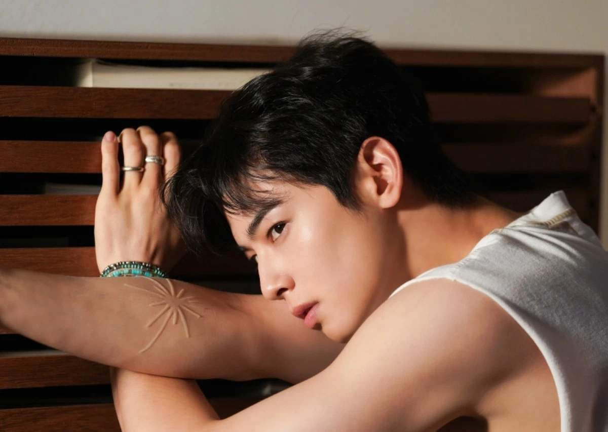 Cha Eun-woo pays $8.77-M in back taxes, to get refund 