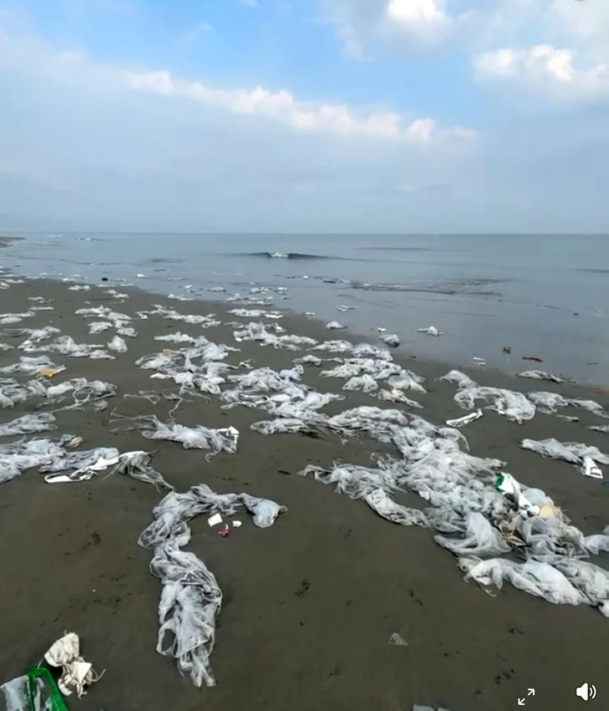 Plastic wastes dot Pangasinan beach