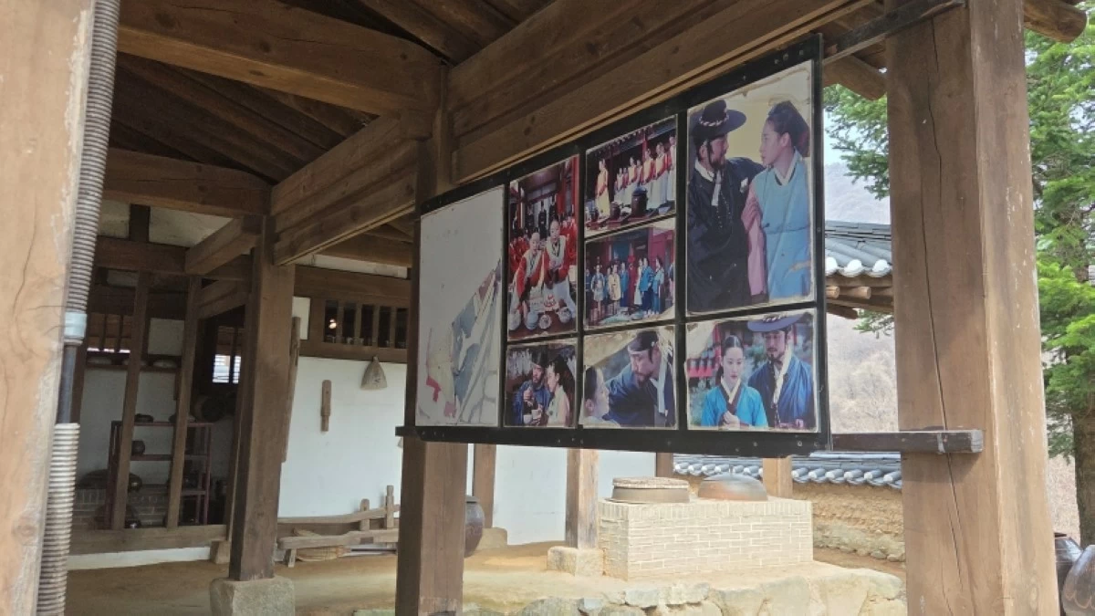 The set of 