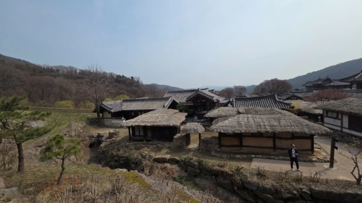 The view of Dae Jang Geum Park from Muryangsujeon Hall (Jonathan Hicap) 