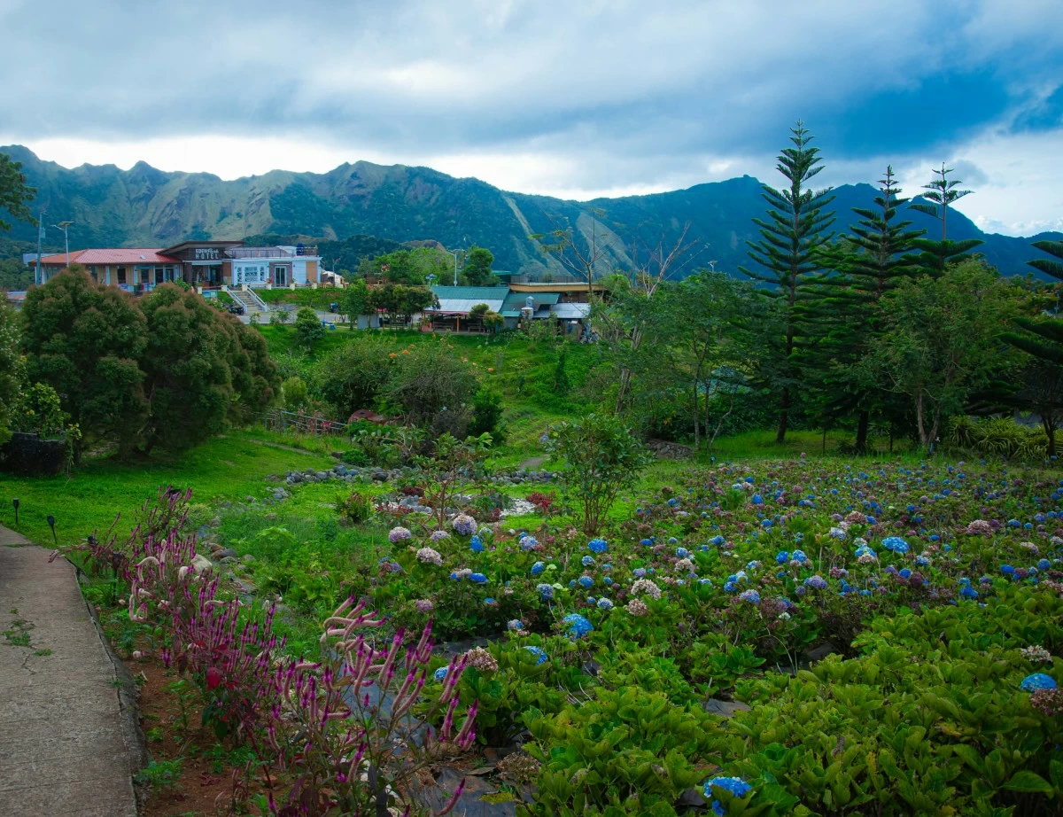 Arts Festival in the summer capital of Antique