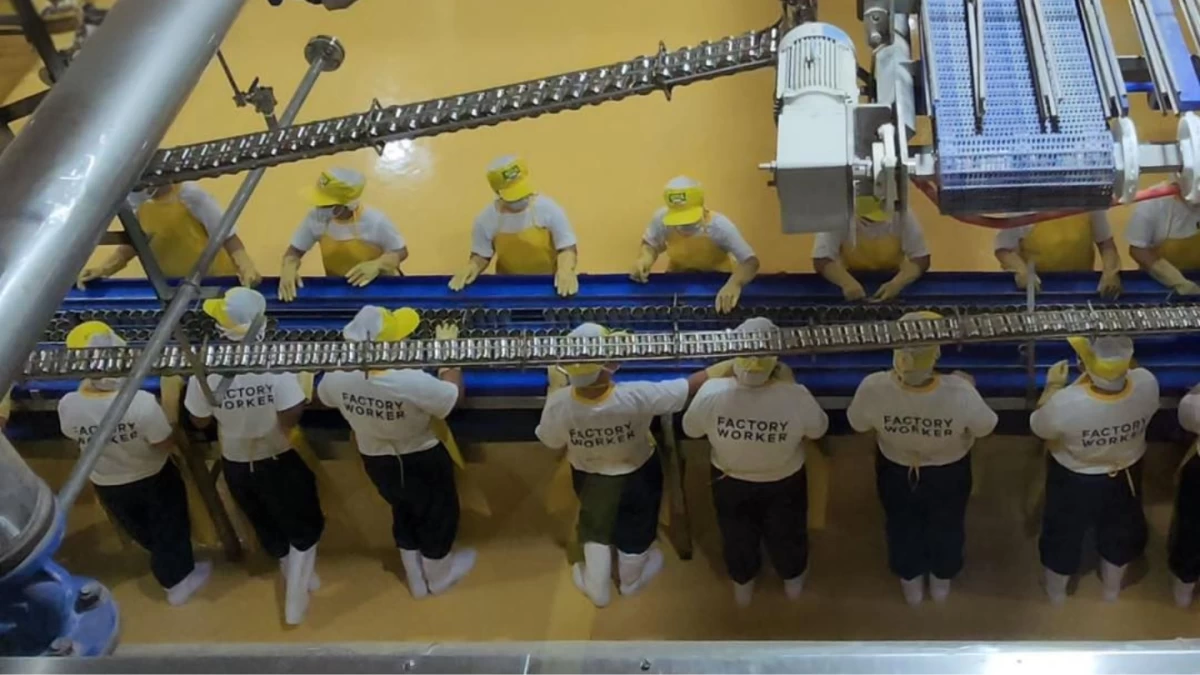 While 1.3 billion robots are expected to enter the global workforce by 2035, the “human architecture” remains the most vital part of a disciplined, data-driven factory culture.