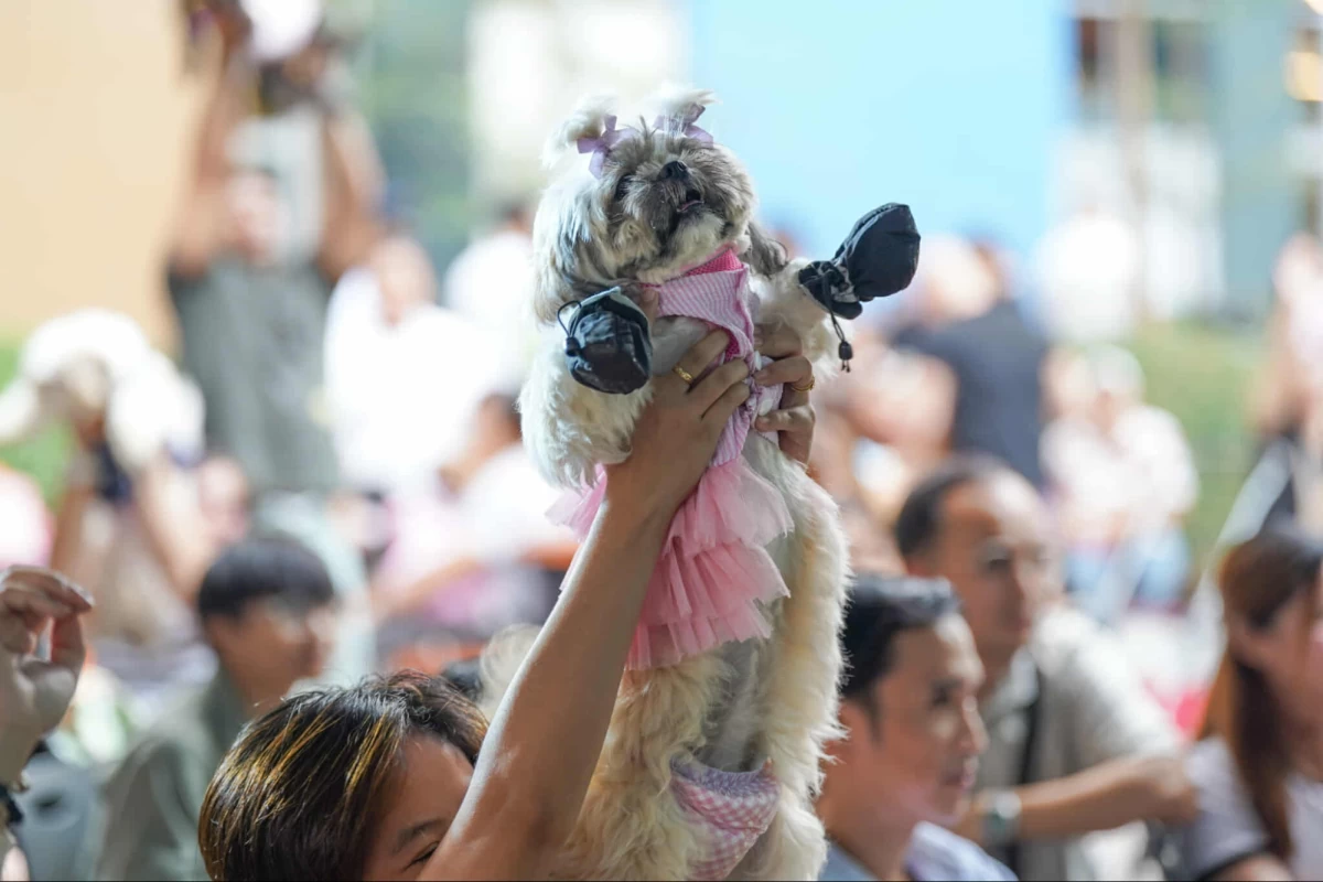Megaworld Lifestyle Malls’ pioneering pet-friendly ecosystem showcases a unique combination of inclusive design and AI technology for a more responsive experience.