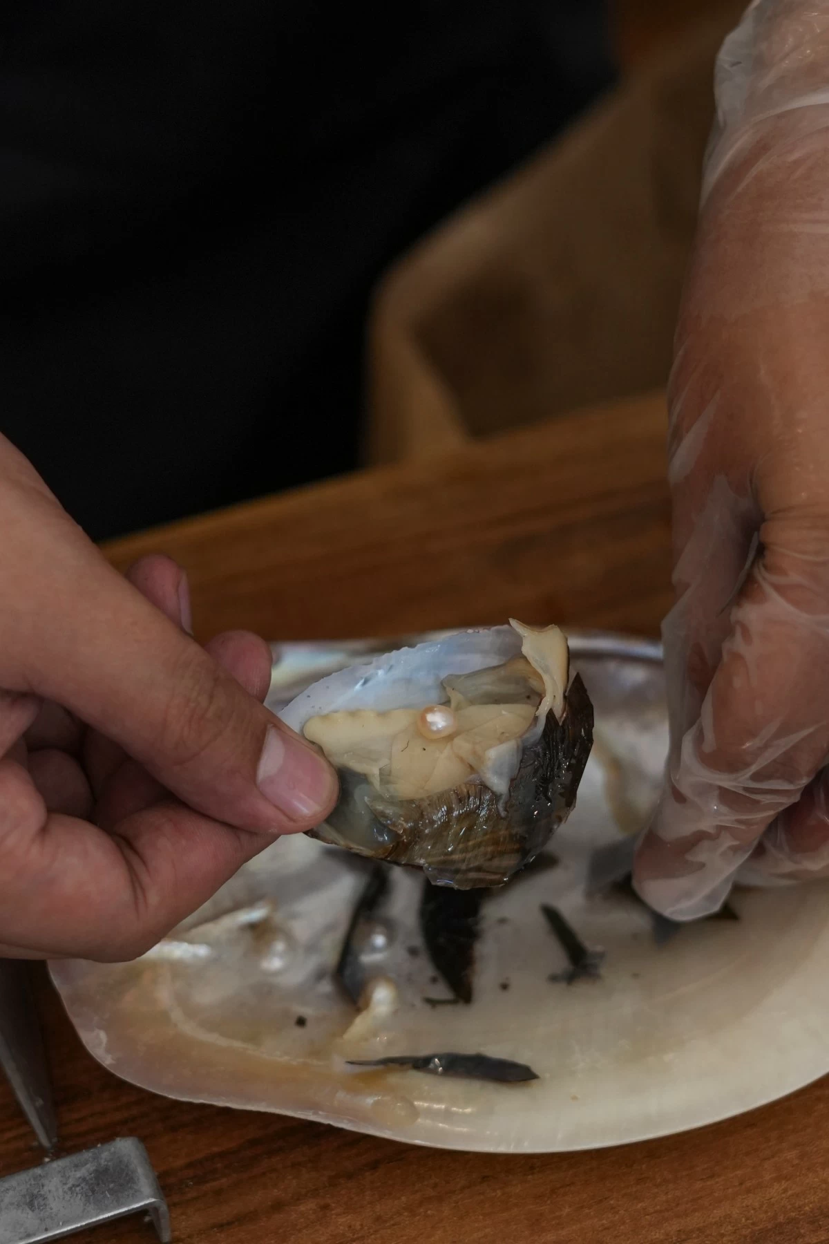 Harvest Your Own Pearl (Photo: Kultura)
