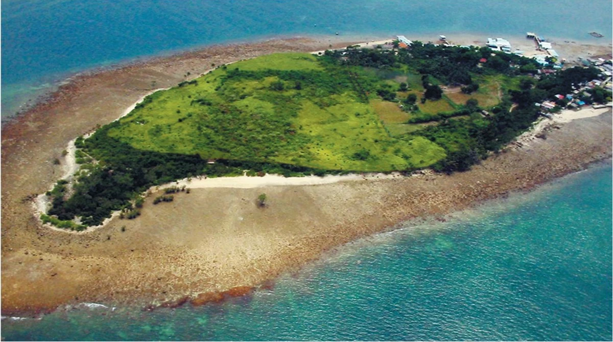 BEFORE. From a sandbar and grassland in 2009, a coast in Punta Dumalag, Davao City, managed by the Aboitiz Cleanergy Park, is now dense with mangroves and trees. This is in part due to the collective efforts of volunteers in sustaining the Park’s mangrove reforestation site.