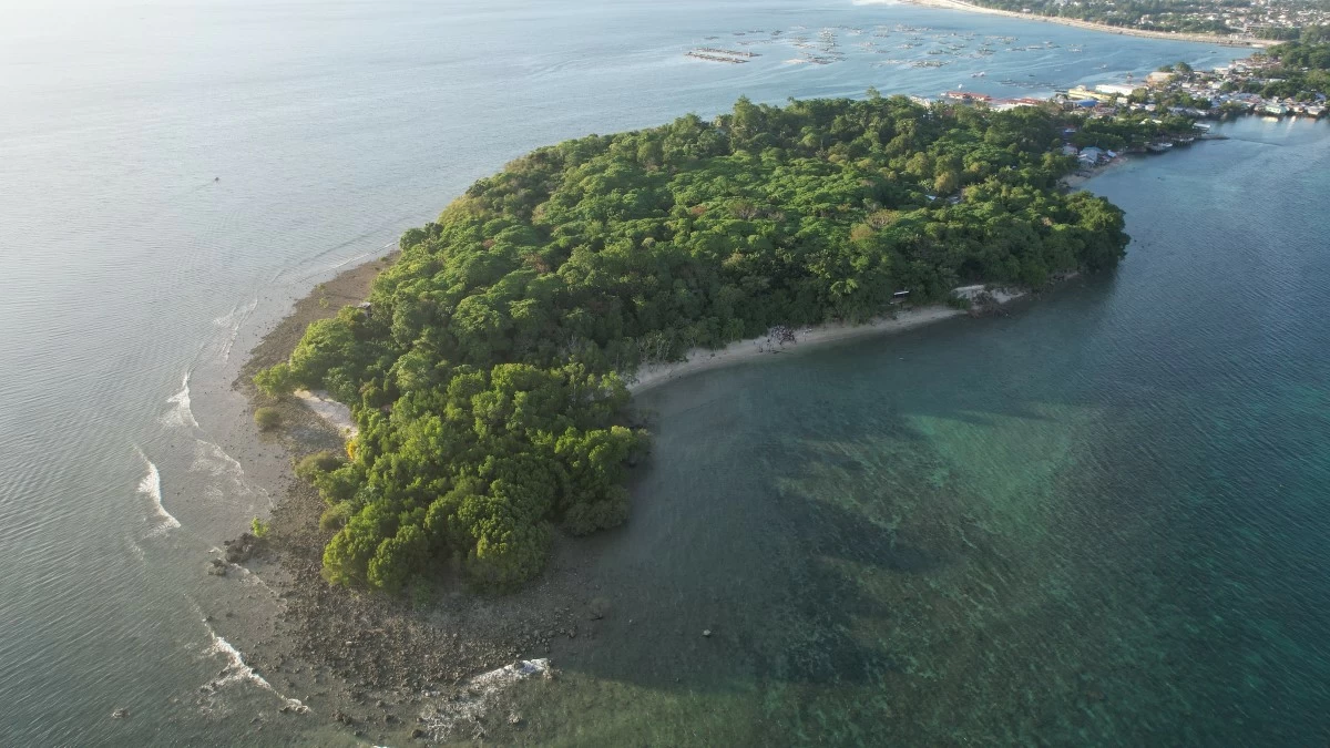 AFTER. From a sandbar and grassland in 2009, a coast in Punta Dumalag, Davao City, managed by the Aboitiz Cleanergy Park, is now dense with mangroves and trees. This is in part due to the collective efforts of volunteers in sustaining the Park’s mangrove reforestation site.