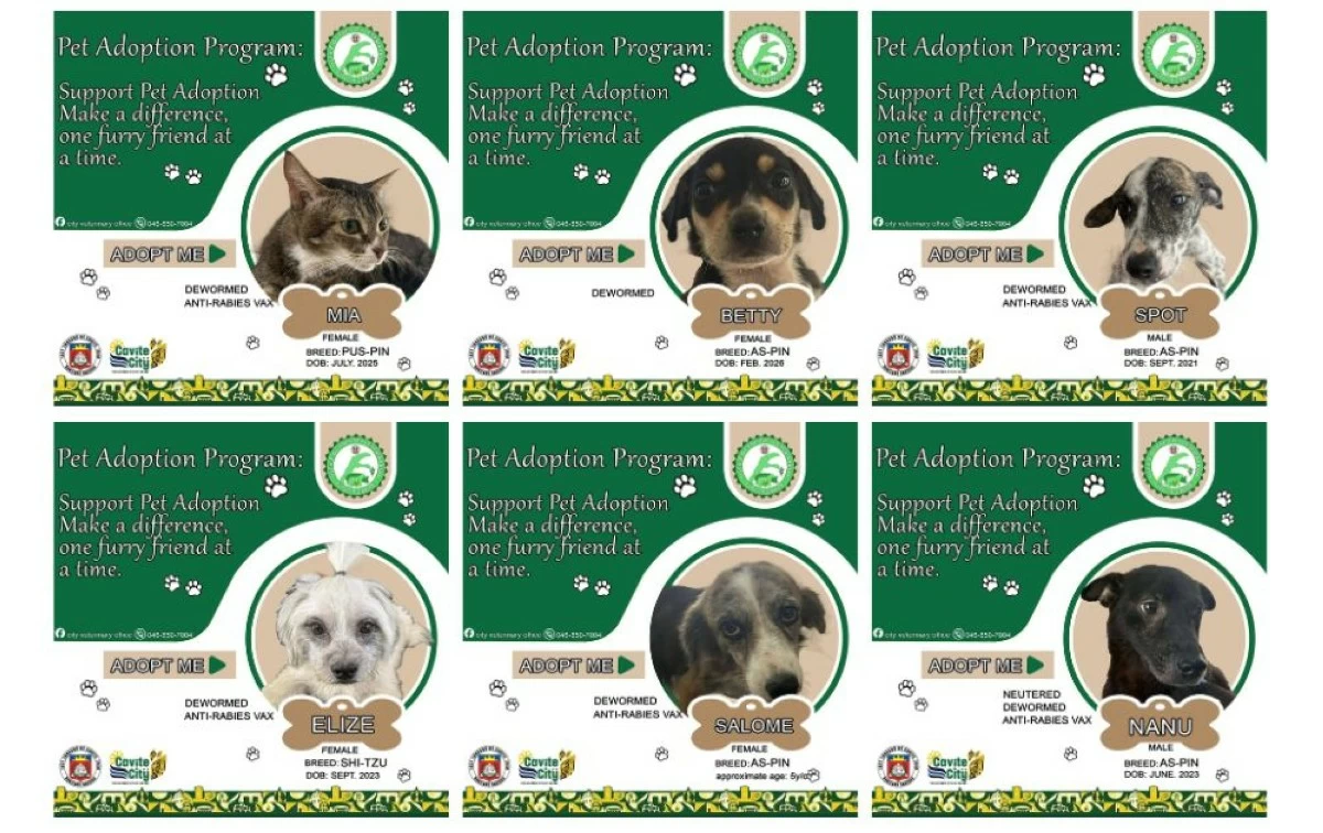 Rescued dogs and cats await adopters under the pet adoption program of the Cavite City Veterinary Office (Photo from the Cavite City Veterinary Office/MANILA BULLETIN)