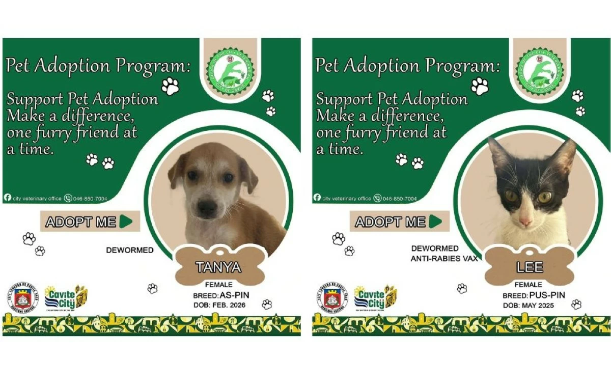 Rescued dogs and cats await adopters under the pet adoption program of the Cavite City Veterinary Office (Photo from the Cavite City Veterinary Office/MANILA BULLETIN)