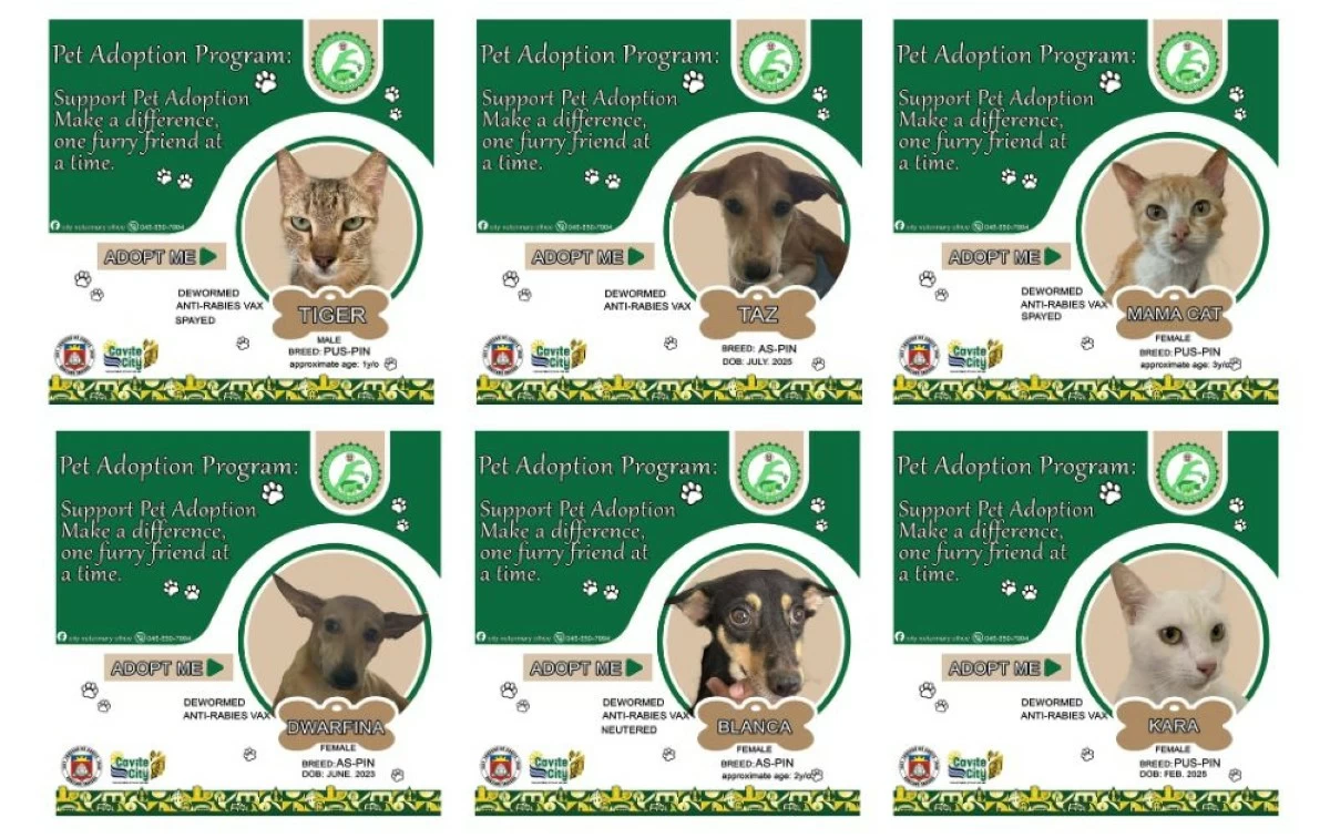 Rescued dogs and cats await adopters under the pet adoption program of the Cavite City Veterinary Office (Photo from the Cavite City Veterinary Office/MANILA BULLETIN)