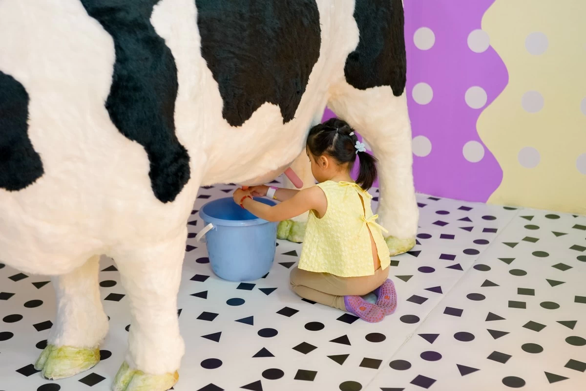 Cow milking fun farm (Photos: Nice Print and Everyday Sunday Studios)